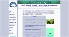 Desktop Screenshot of nasco.int